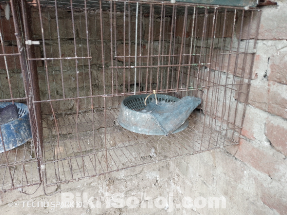 খাঁচা বিক্রি করবো